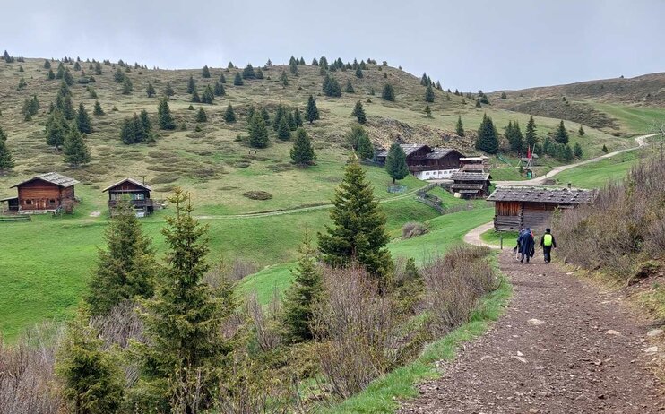 Anello della Bullaccia  - domenica 4 giugno 2023