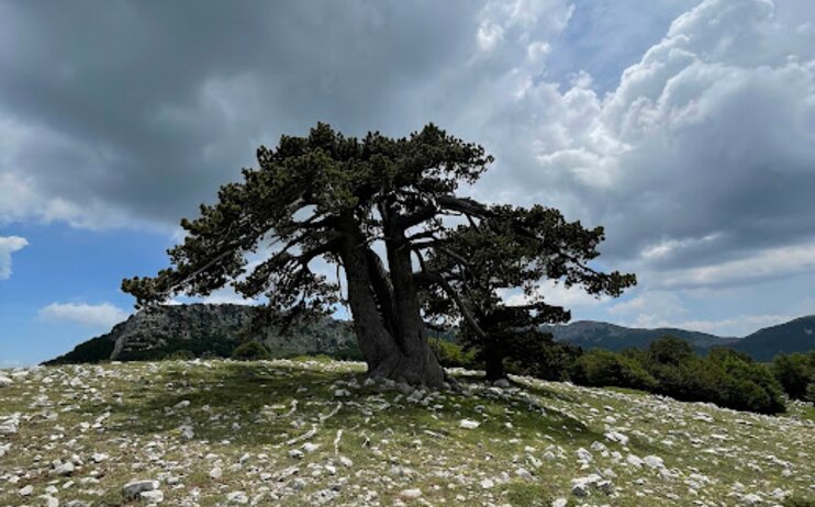 Trekking in Basilicata dal 18 al 24 maggio 2025