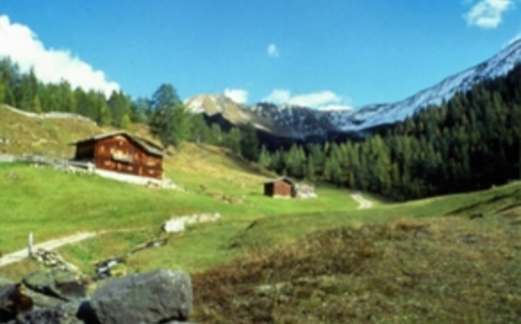 Almweg in val Casies - 11 luglio 2026